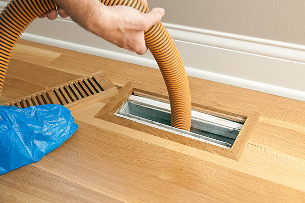 Best Air Duct Mold Removal  in Denison, TX